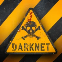 Entrar en la darknet