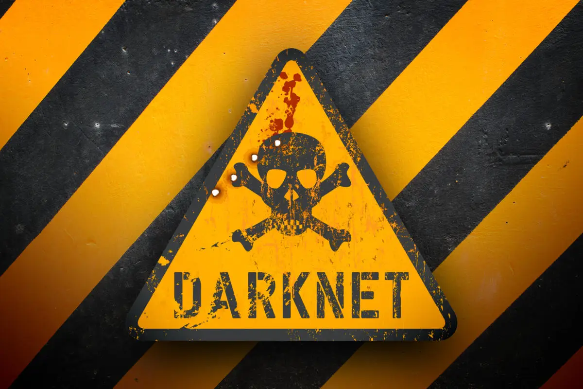 Entrar en la darknet