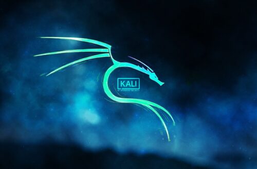 Kali Linux directo en el disco