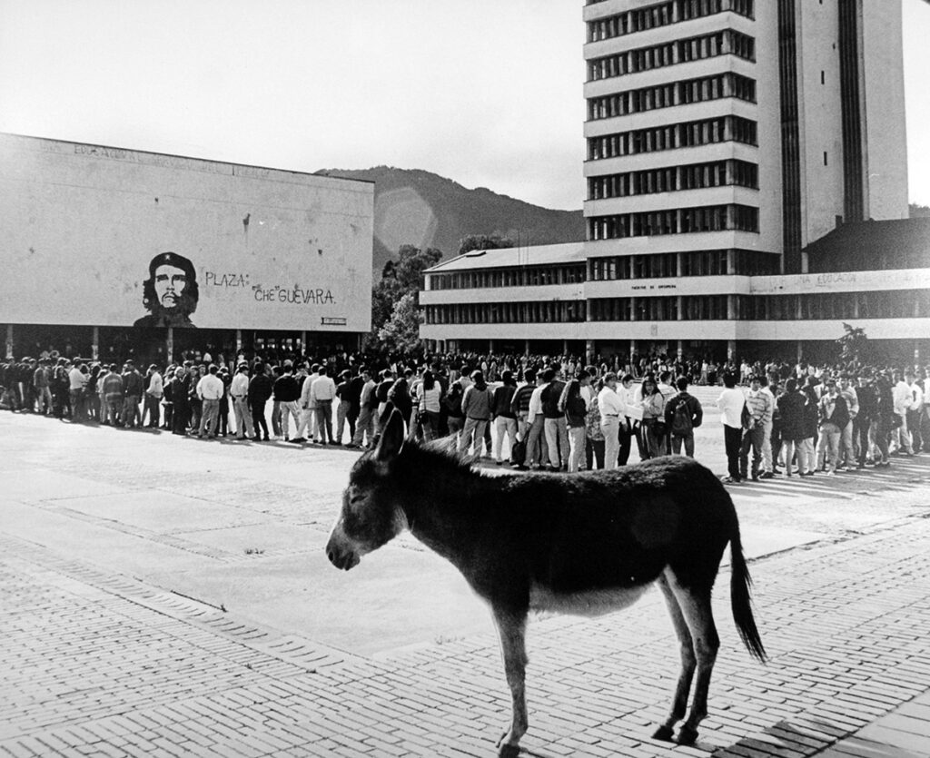 Ejemplos a seguir