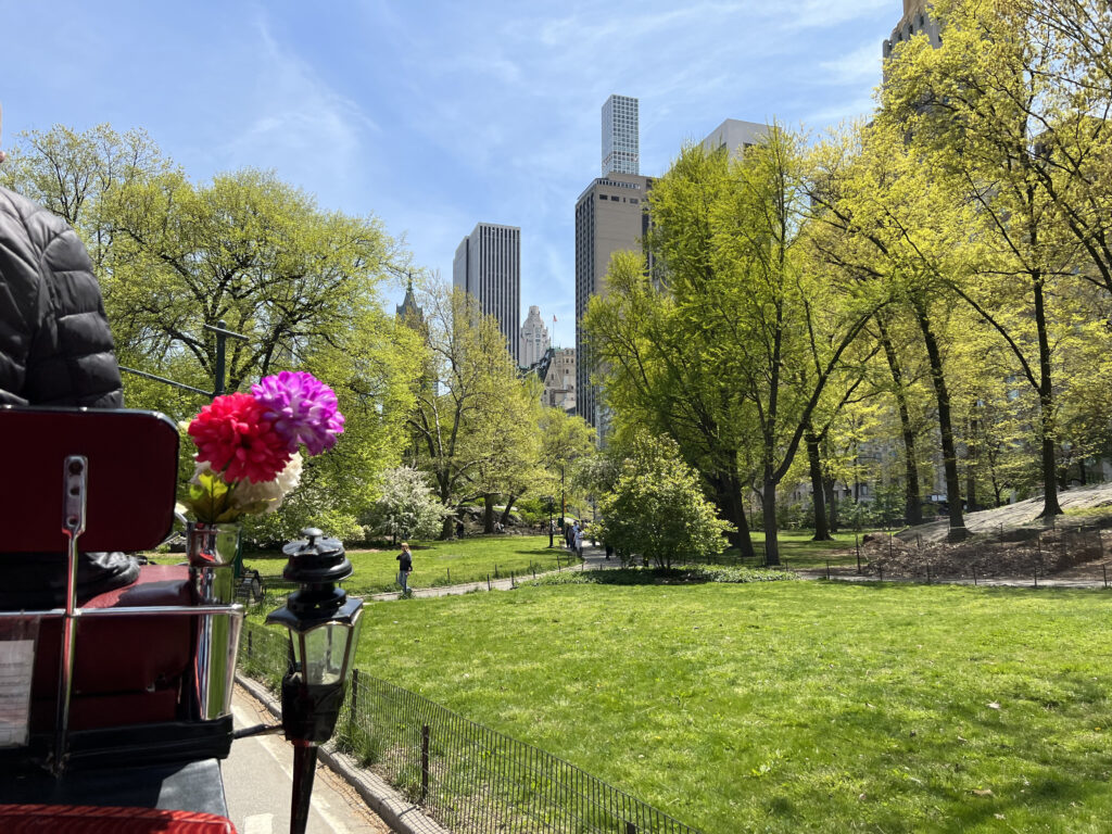 Primavera en NYC